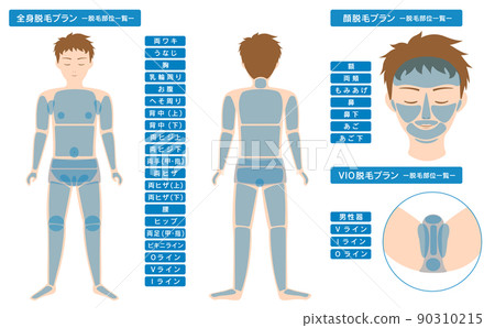 男性脫髮點列表全身、面部和VIO 90310215