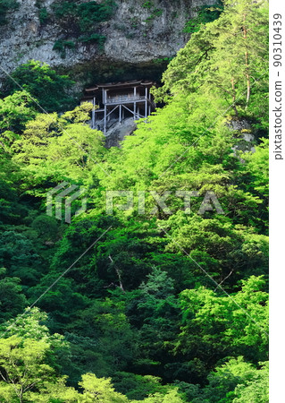 [鳥取縣]新鮮綠色國寶輸入殿（三佛寺） 90310439