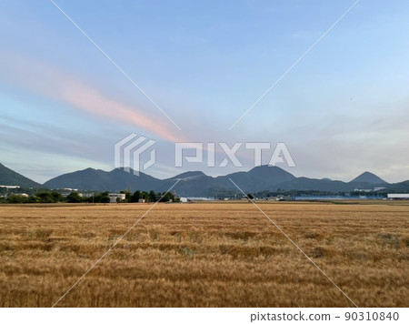 附近風景 附近風景 90310840