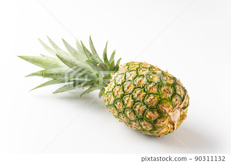 pineapple pineapple 90311132