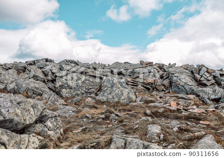 Babia Gora National Park (Babiogorski Park Narodowy) in Poland. Mountain landscape of Babia Gora massif nature with sharp stones and green grass 90311656
