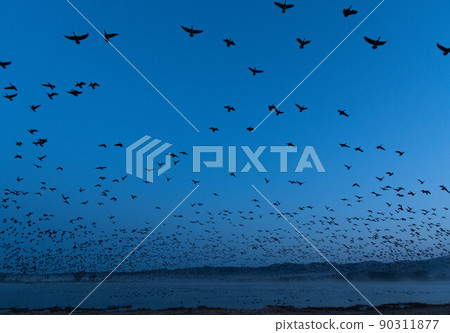 黎明前的馬干崛起 黎明前的馬干崛起 90311877