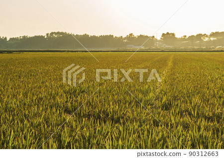 Chungnam, Taean-gun, Cheonsu Bay 90312663