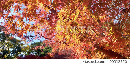 日本秋葉，觀光 90312750