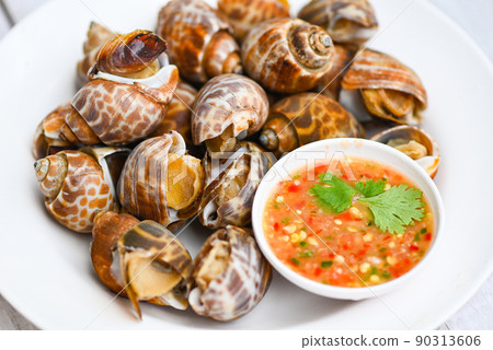 Fresh Spotted babylon Sea shell limpet ocean gourmet seafood in the restaurant, Babylonia areolata shellfish seafood on white plate with seafood sauce on table background Fresh Spotted babylon Sea shell limpet ocean gourmet seafood in the restaurant, Babylonia areolata shellfish seafood on white plate with seafood sauce on table background 90313606