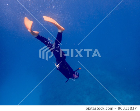 在西表島海中浮潛 90313837