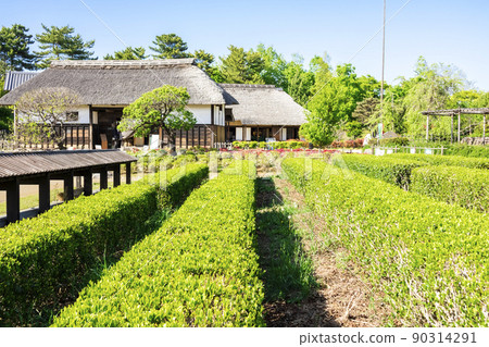有綠色和藍天的日本庭院 90314291