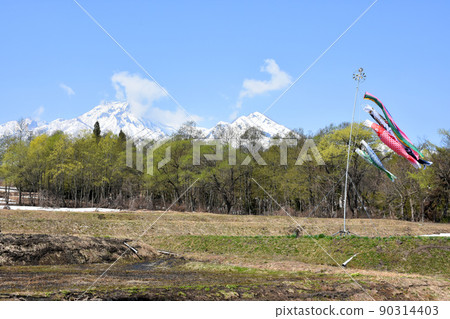 [新潟縣妙高市]妙高山和鯉魚旗 90314403