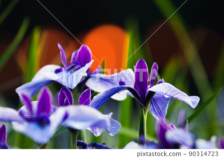 花鏟 花鏟 90314723