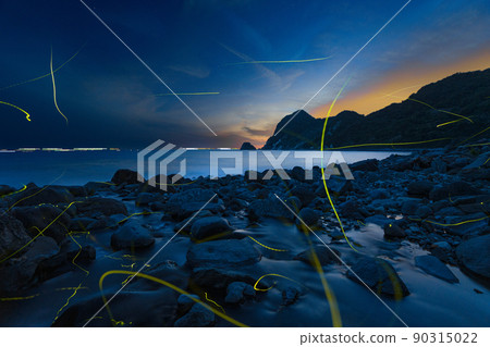 Genji firefly dancing on the coast Rare and precious scenery Genji firefly dancing on the coast Rare and precious scenery 90315022