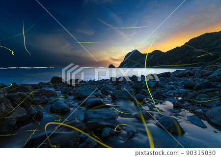 Genji firefly dancing on the coast Rare and precious scenery 90315030
