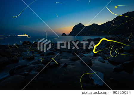 Genji firefly dancing on the coast Rare and precious scenery Genji firefly dancing on the coast Rare and precious scenery 90315034