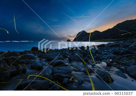 Genji firefly dancing on the coast Rare and precious scenery Genji firefly dancing on the coast Rare and precious scenery 90315037