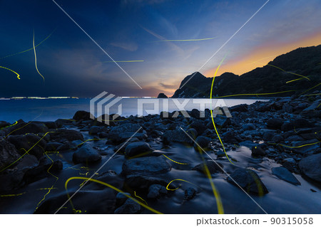Genji firefly dancing on the coast Rare and precious scenery 90315058