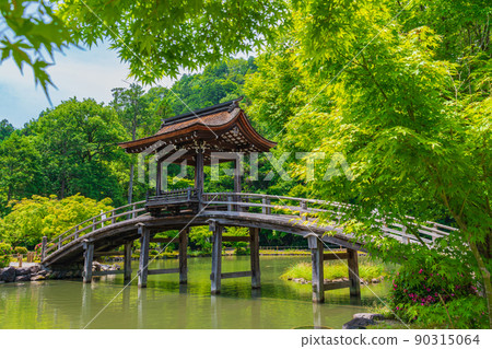 新鮮的綠色 Kokeizan Eihoji Temple <岐阜縣多治見市> 新鮮的綠色 Kokeizan Eihoji Temple <岐阜縣多治見市> 90315064