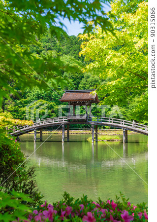 Fresh green Kokeizan Eihoji Temple <Tajimi City, Gifu Prefecture> 90315066