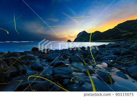 Genji firefly dancing on the coast Rare and precious scenery 90315075
