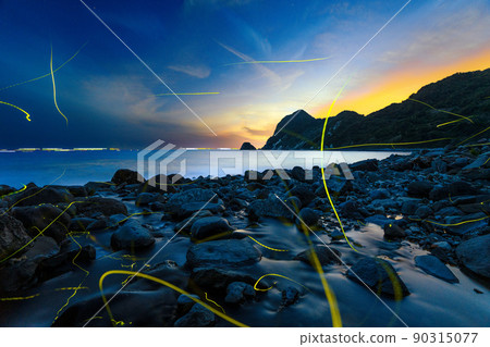 Genji firefly dancing on the coast Rare and precious scenery Genji firefly dancing on the coast Rare and precious scenery 90315077