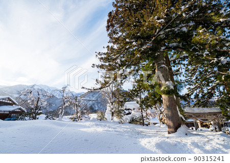 [白川鄉]雪景白川八幡宮 90315241