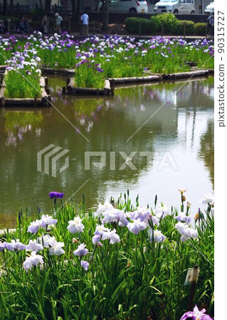 矢宮鳶尾園 矢宮鳶尾園 90315727