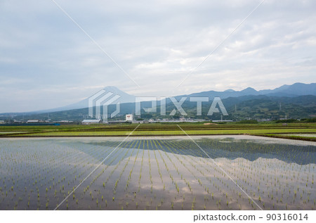 [Tokaido Shinkansen] Paddy fields and Shinkansen at dusk 90316014