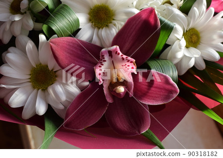 Group of purple vanda orchid and white Chrysanthemums flower background Group of purple vanda orchid and white Chrysanthemums flower background 90318182