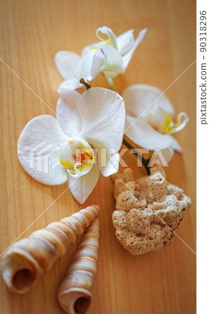 large white orchid flowers on a brown background large white orchid flowers on a brown background 90318296