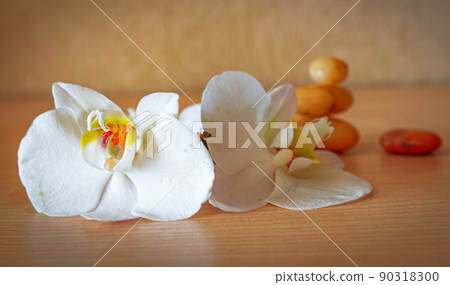 large white orchid flowers on a brown background 90318300