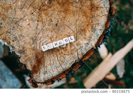 Word school of wooden alphabet beads on a tree stump surface in the forest. 90319875
