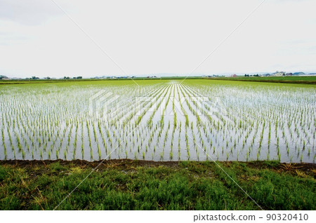 北海道的鄉村風光 北海道的鄉村風光 90320410