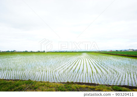 北海道的鄉村風光 90320411