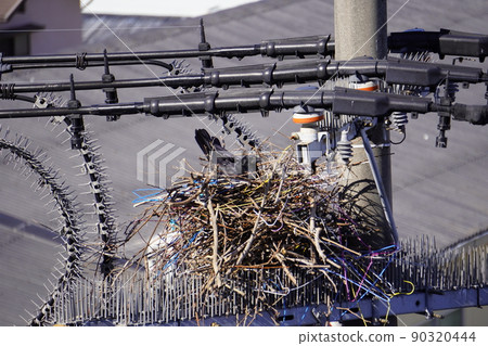 A crow nesting on a branch on a telephone pole's bird repellent 90320444