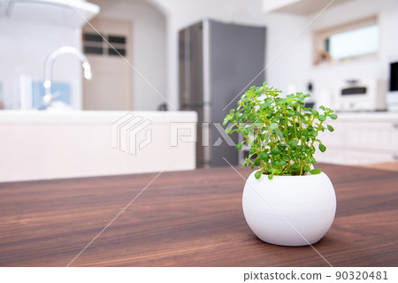 A foliage plant on the dining table 90320481