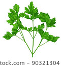 意大利歐芹香草 90321304