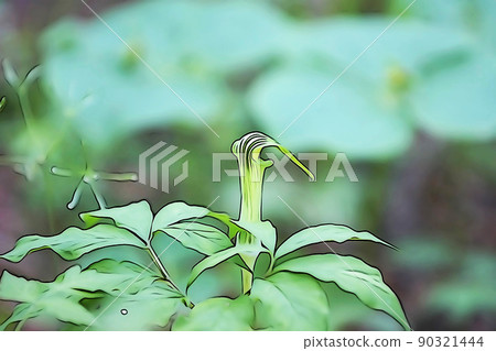 Pastel-like "Hirohatennansho" illustration image 90321444