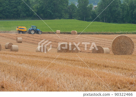 收割後麥田裡的小麥卷 90322466