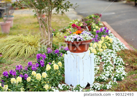 Potted flowers 90322493