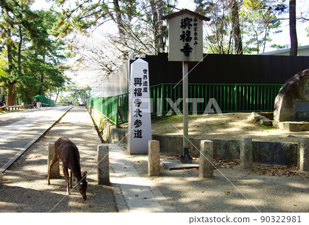 The entrance to the north approach to Kofukuji Temple The entrance to the north approach to Kofukuji Temple 90322981