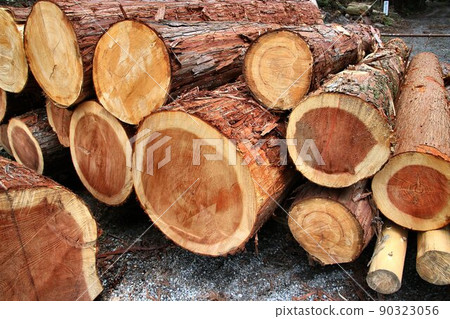 來自森林的祝福“砍伐樹木”......利用森林資源的林業保護和培育森林 90323056