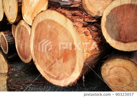 來自森林的祝福“砍伐樹木”......利用森林資源的林業保護和培育森林 90323057