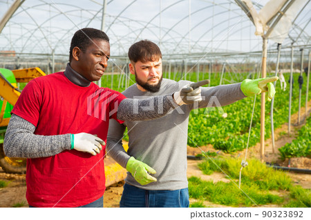 Two farmers talking 90323892