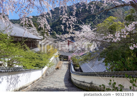 七彩花朵盛開的寺院風景@奈良 90323933