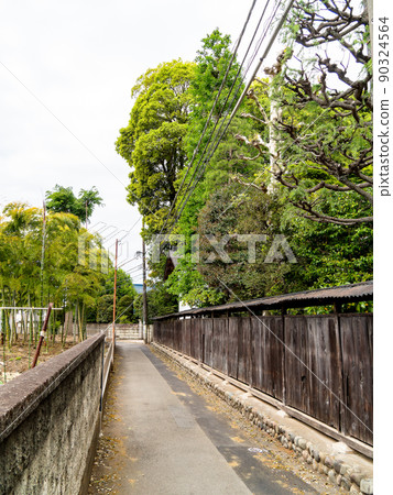 The original scenery of Musashino: The quaint cityscape of Kokubunji The original scenery of Musashino: The quaint cityscape of Kokubunji 90324564