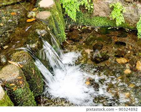 A view of the lush hawk road and the true pond springs in early summer 90324892