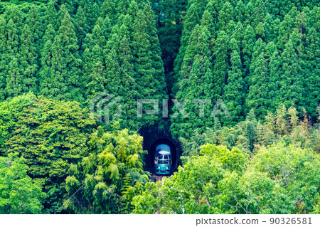 大分縣久大本線（曳地-文後-中村）-湯布院之森離開杉樹林- 90326581