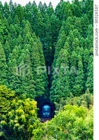 Oita Prefecture Kyudai Main Line (Hikiji-Bungo-Nakamura) -Yufuin no Mori leaving the cedar forest- Oita Prefecture Kyudai Main Line (Hikiji-Bungo-Nakamura) -Yufuin no Mori leaving the cedar forest- 90326587