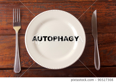 Autophagy process cell regeneration in the body, reducing the likelihood of the onset of some diseases, in addition to increasing longevity. intermittent fasting. 90327308