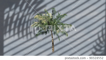 Image of palm tree over leaves and window shadow on grey background 90328552