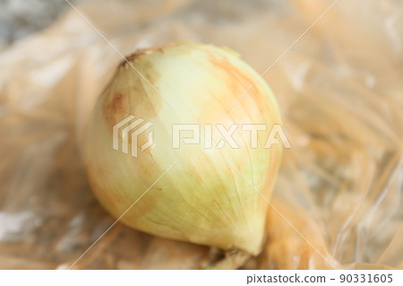 onion onion 90331605