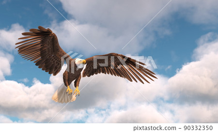 Baikaku鷹 Baikaku鷹 90332350